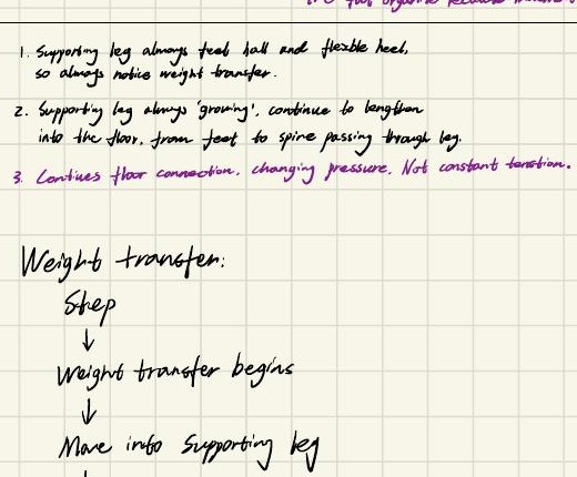 Dance Journal 2, page 7